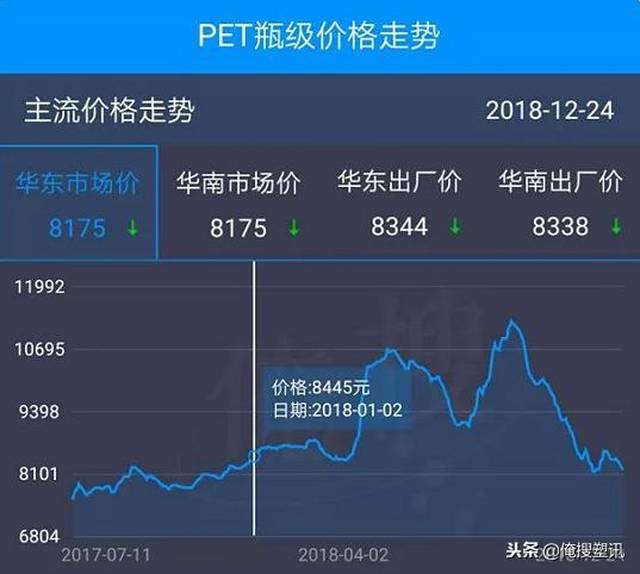 宠物市场最新行情概览与趋势分析