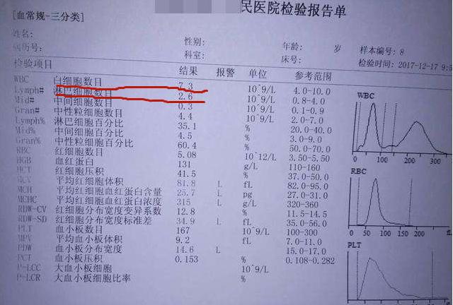 全球新冠肺炎最新数据解析及应对策略分析，疫情现状与未来展望