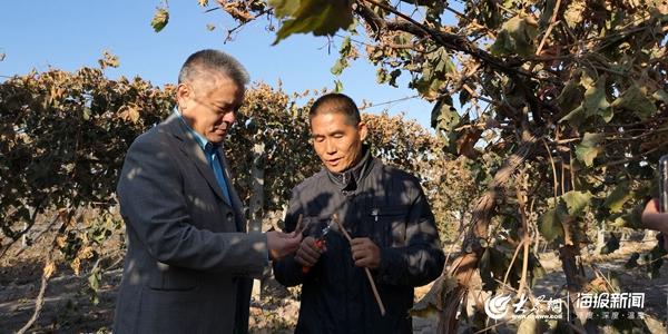 天山生物，蓬勃发展与挑战并存的最新现状