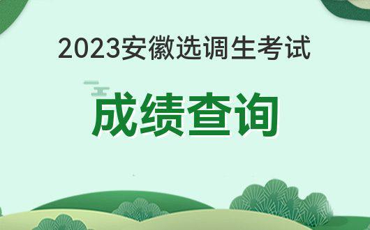 安徽省选调生招聘，机遇与挑战的交汇点