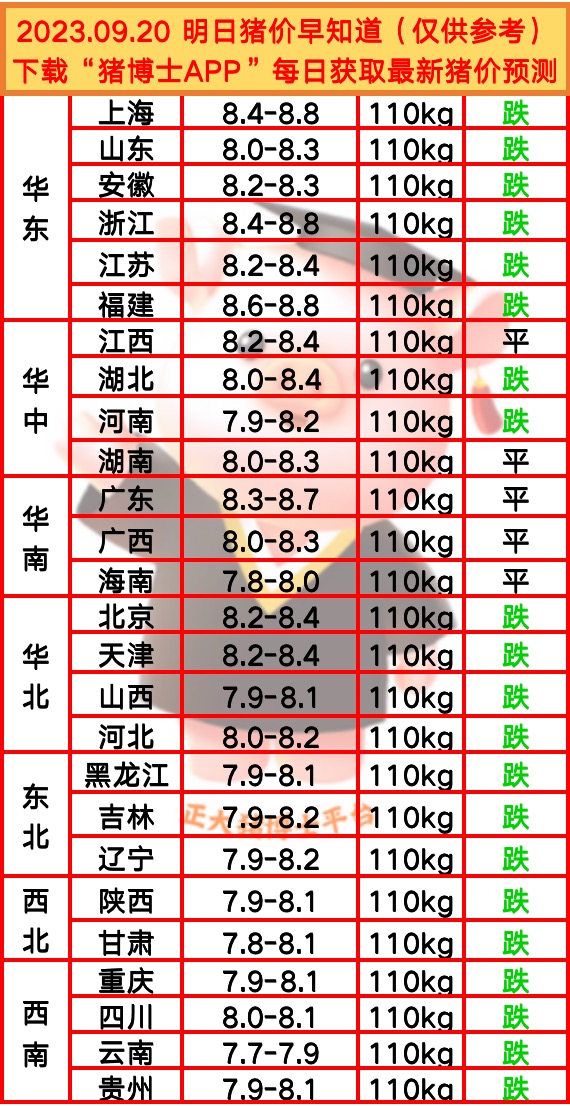 今日全国猪价更新，市场走势及影响因素深度解析