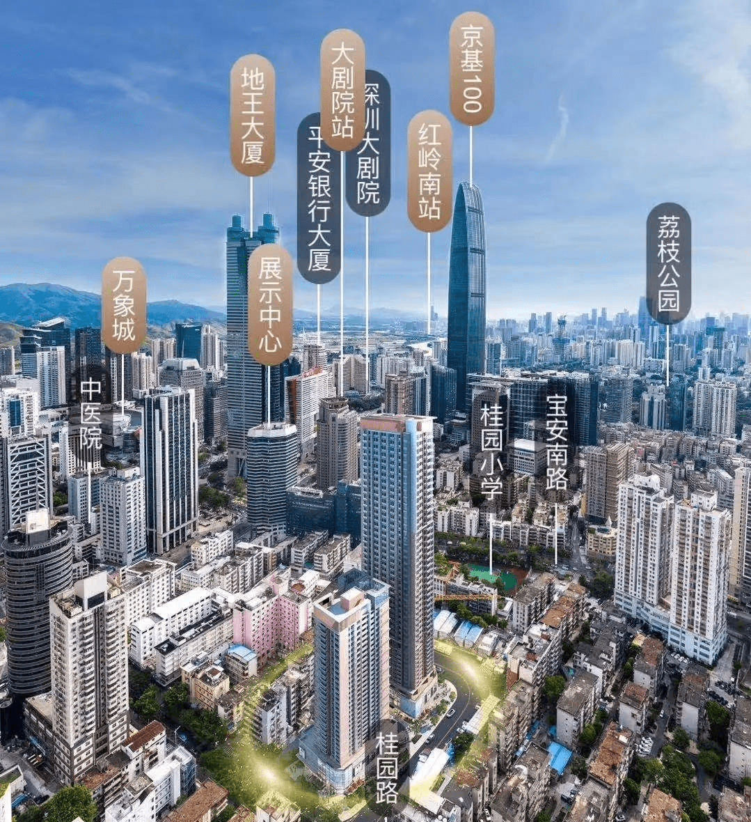 深圳罗湖区房价最新动态，市场走势及影响因素深度解析