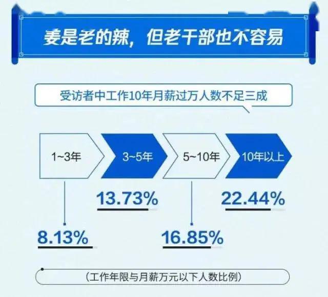 新澳2024年免资料费,数据驱动执行方案_SP38.994