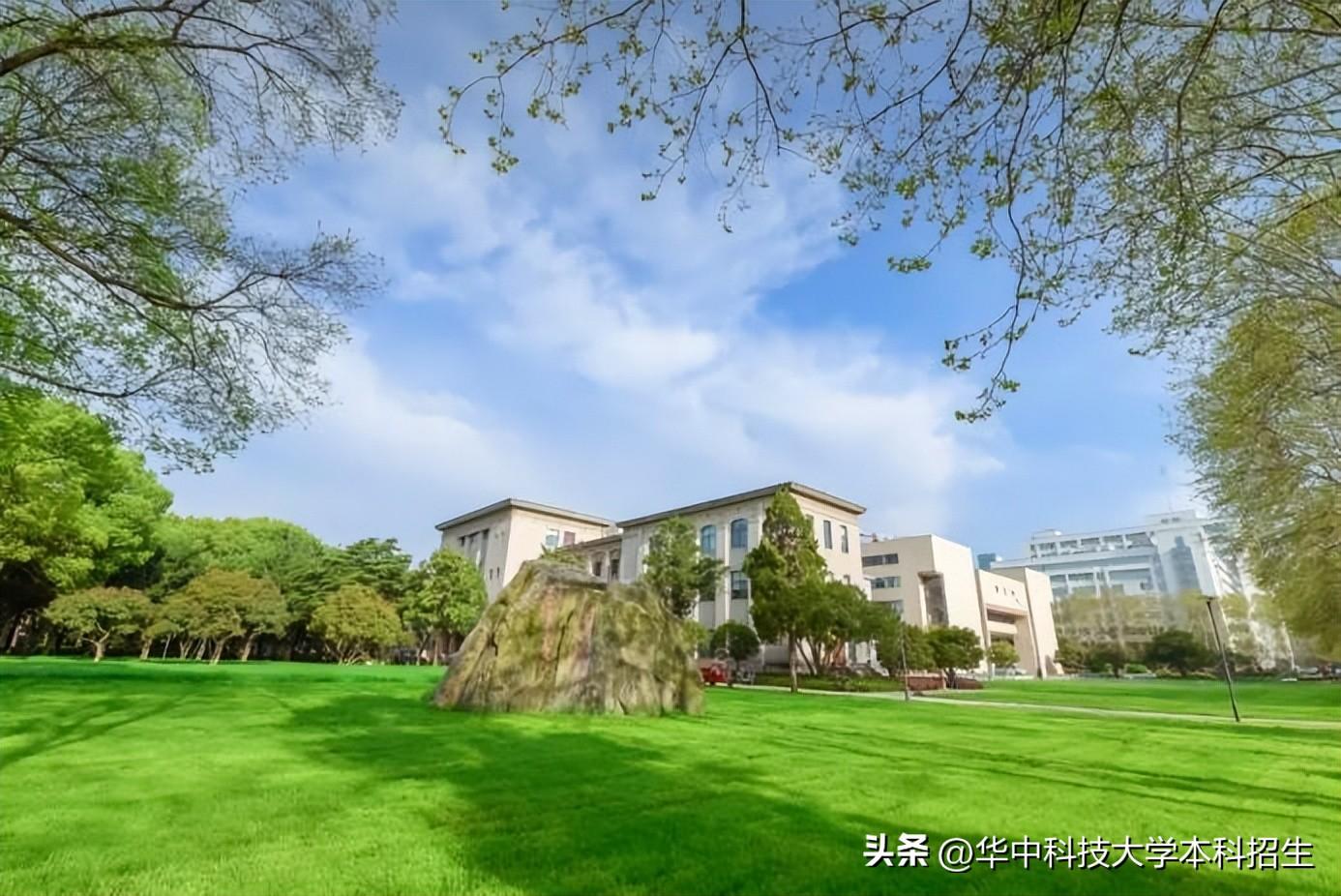 青年大学第十季最新动态及特色展望概览