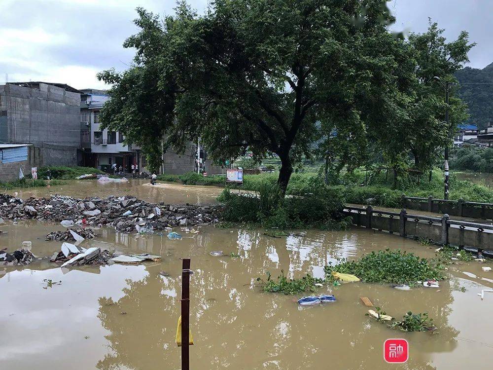 融水洪水最新动态，全力应对，确保安全无虞