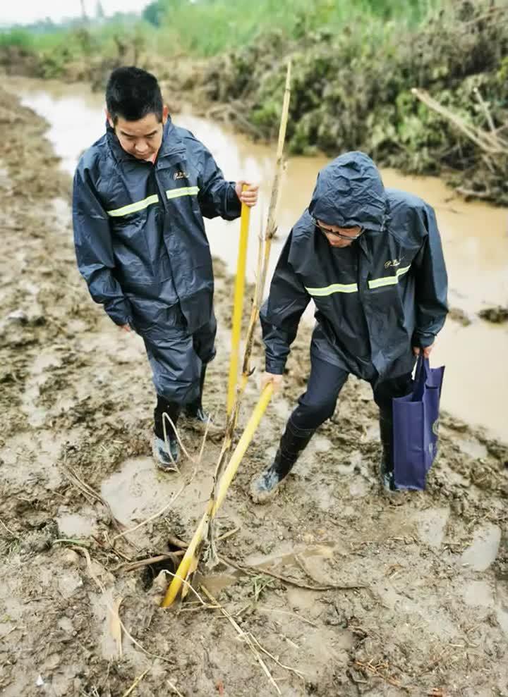 江都洪水最新动态，全力应对，保障家园安全