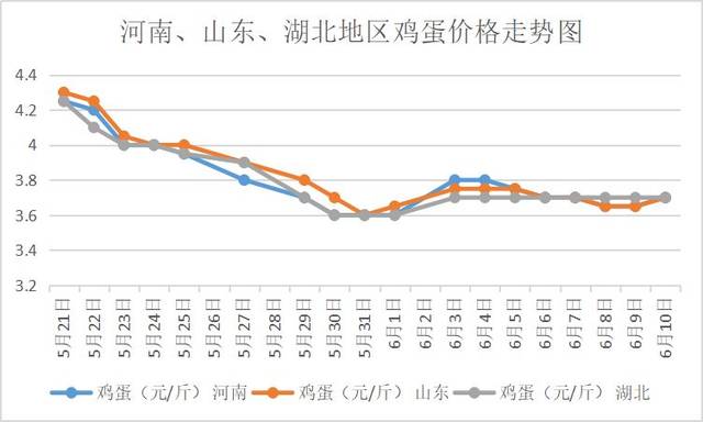 全国鸡蛋价格最新动态，市场走势与影响因素深度解析