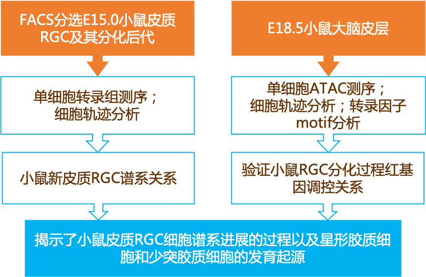 雨中漫步 第4页