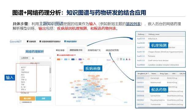 新澳精准资料,数据驱动执行方案_手游版69.68