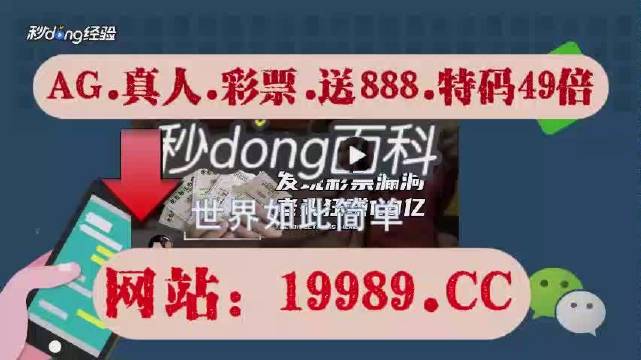 2024澳门天天开好彩大全香港,专业数据解释定义_Superior36.461