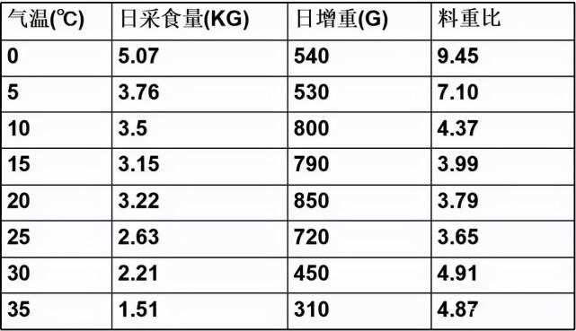 新澳资料免费,效率资料解释定义_钻石版90.188