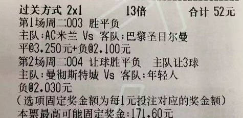 澳门今晚必开一肖1,数据引导计划设计_挑战款49.868