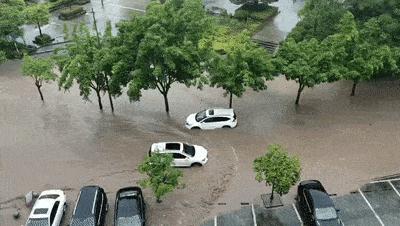 黑龙江最新台风动态，严阵以待，保障风雨中的人民安全