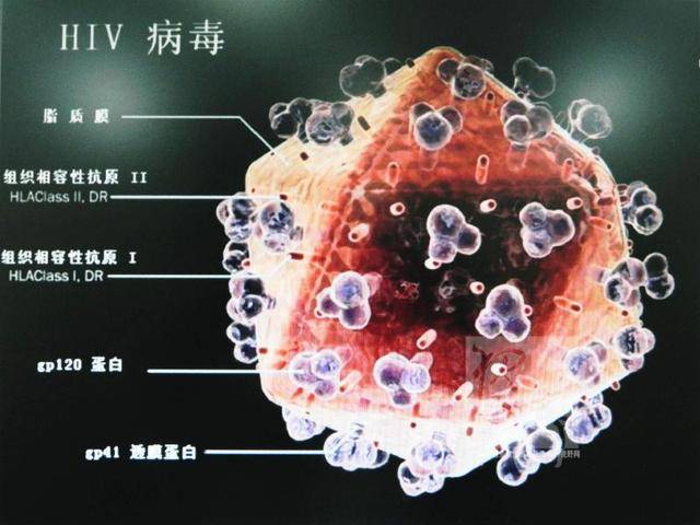 广昌最新病毒揭秘，深入了解与有效应对策略