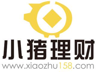 小猪理财最新公告详解，全面解读更新内容