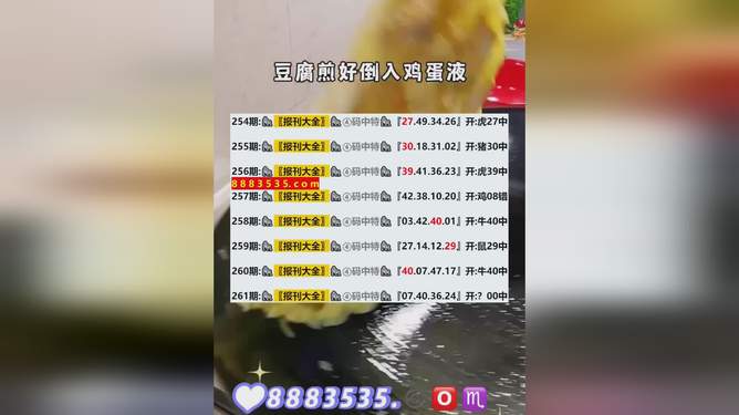 新澳2024年开奖记录｜全面解读说明