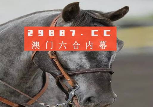 香港特马资料王中王,广泛的关注解释落实热议_XR134.351