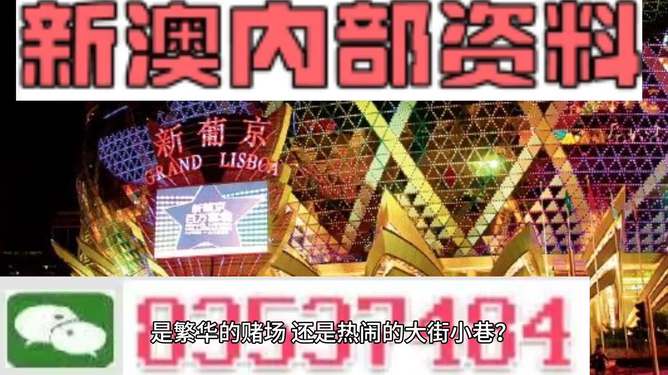 2024新澳门今晚开奖号码和香港,专业解析说明_VIP11.542