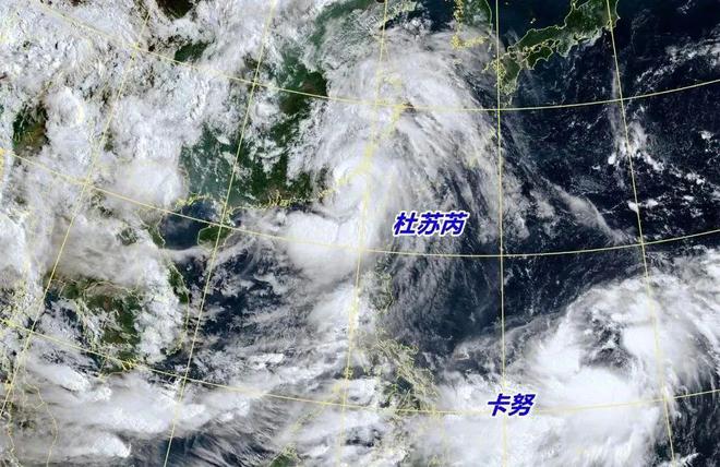 台风丕台最新深度解析报告