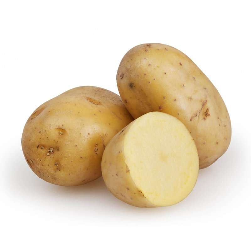 土豆potato下载，数字时代资源获取的新途径