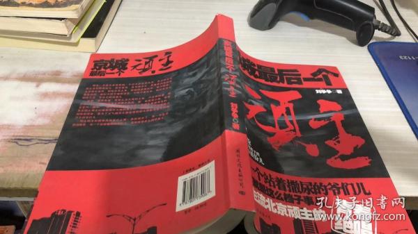 京城顽主与现代交融的独特魅力，历史文化的在线阅读之旅