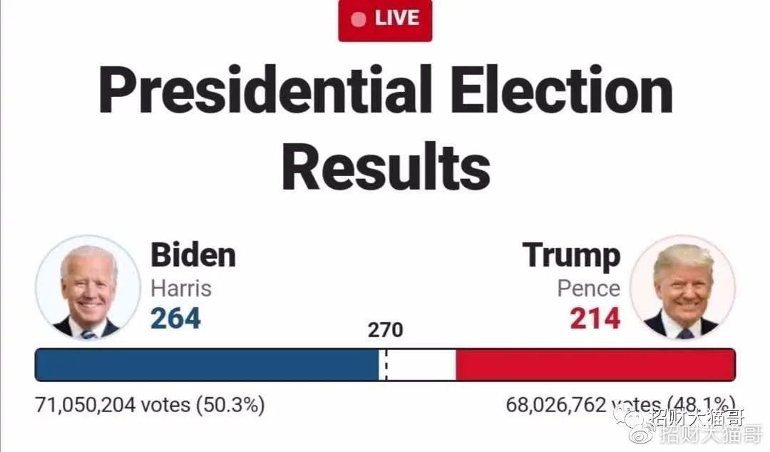 大选最新准确消息全面解读
