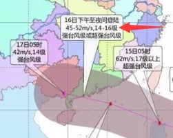 全球山竹供应链与市场趋势深度解析