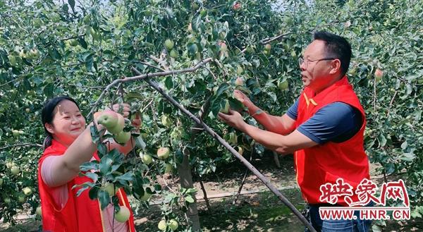 官网在线视频的魅力之旅，探索新境界，启程在即