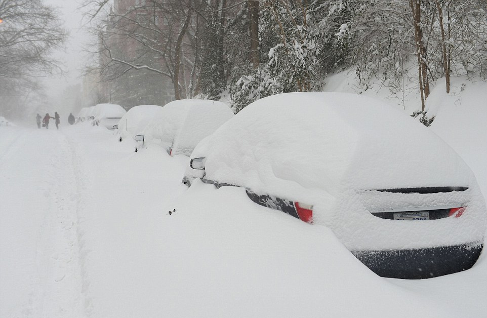 最新暴风雪动态，影响、应对与反思全解析