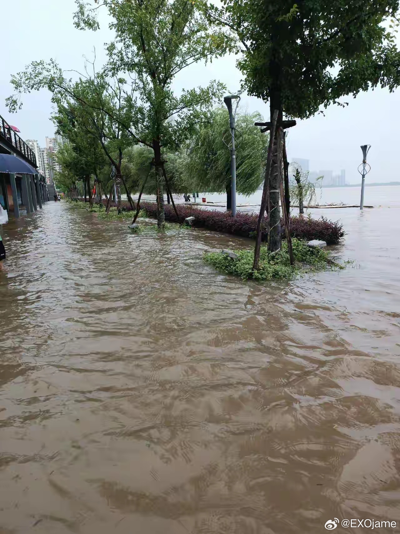 安徽芜湖市洪水最新动态，众志成城，共抗洪灾