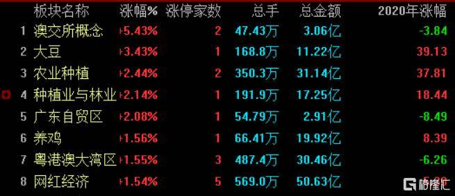 粤港澳大湾区股票动态更新及其市场影响分析