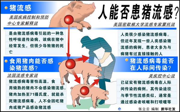 全球新型猪流感病毒防控最新动态与应对策略