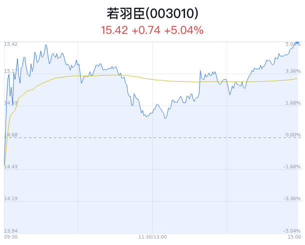 若羽臣过会最新消息深度解读