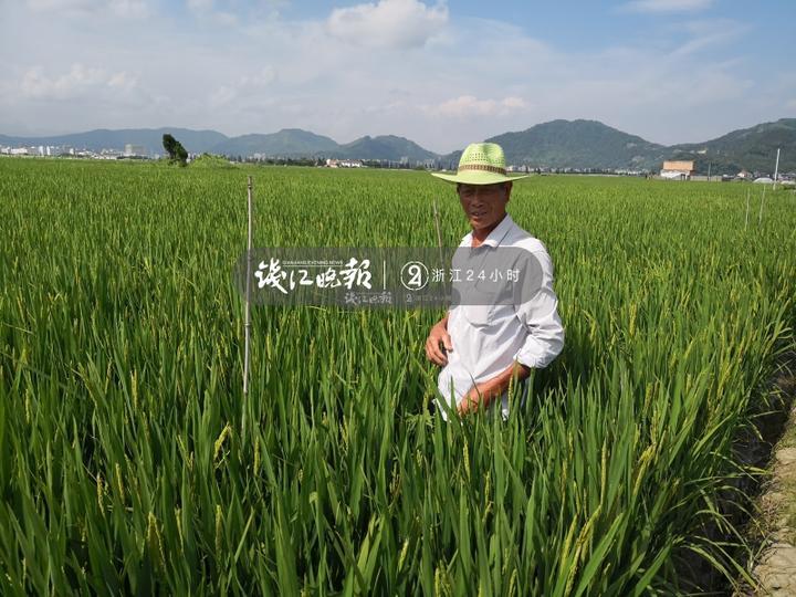 种地吧鹭卓，探索农业新篇章的最新一期