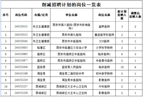 太白县级托养福利事业单位发展规划展望