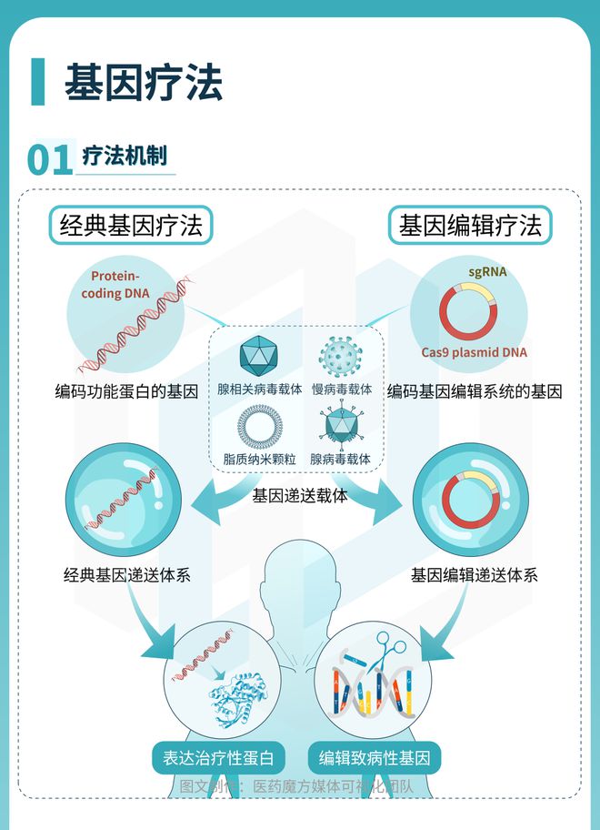 美国基因疗法最新进展，前沿科技的突破与挑战并存