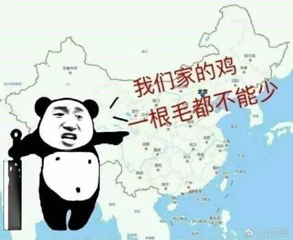 中国外交部最新视频展现坚定立场与外交风采风采