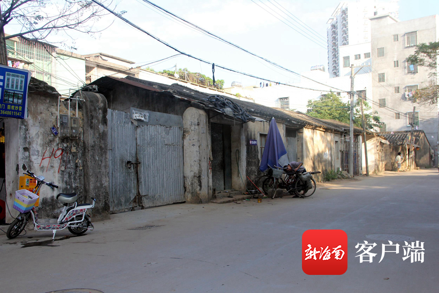 海口坡博坡巷地区发展动态更新