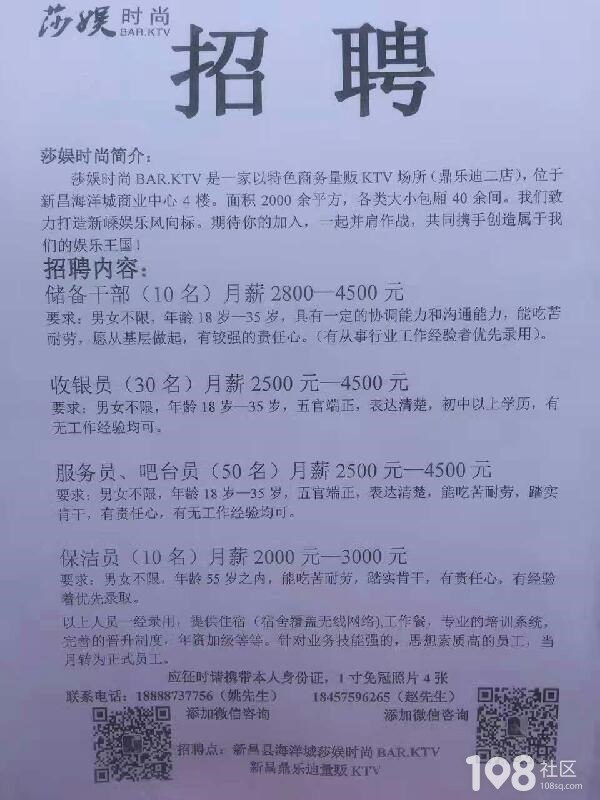 禹越镇最新招聘信息全面解析