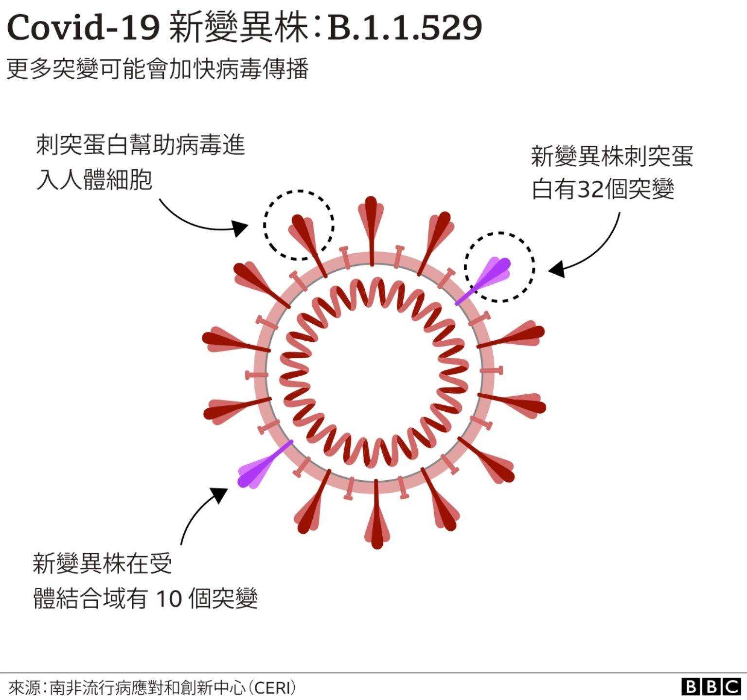 中国全面应对新冠病毒，最新进展与积极消息更新