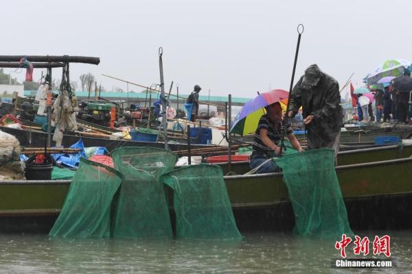 太湖禁渔十年最新动态，守护蓝色生态，共谋可持续发展之路